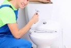 Windabouttoilet-replacement-plumbers-2.jpg; ?>